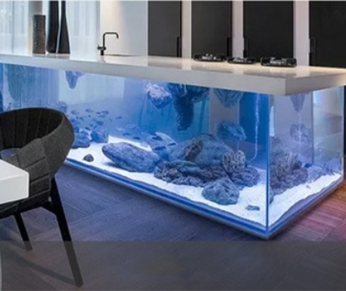 Fish tank hydroponics